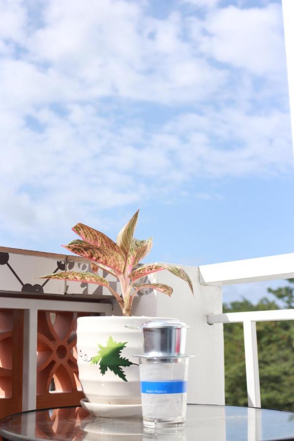 Lam Garden Boutique Homestay هوي المظهر الخارجي الصورة